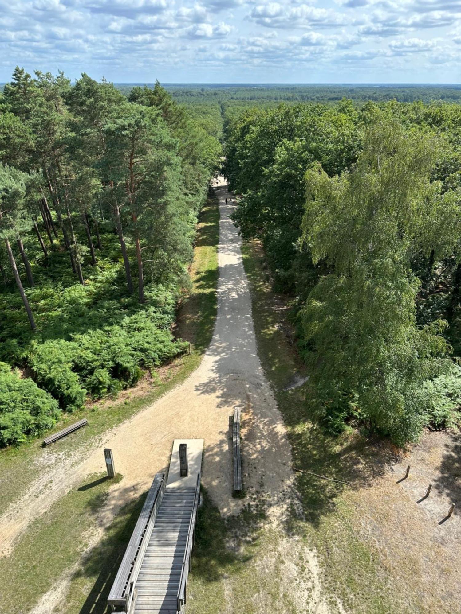*** Domaine Des Noyers - Proche Centre Ville Châteauneuf-sur-Loire Buitenkant foto